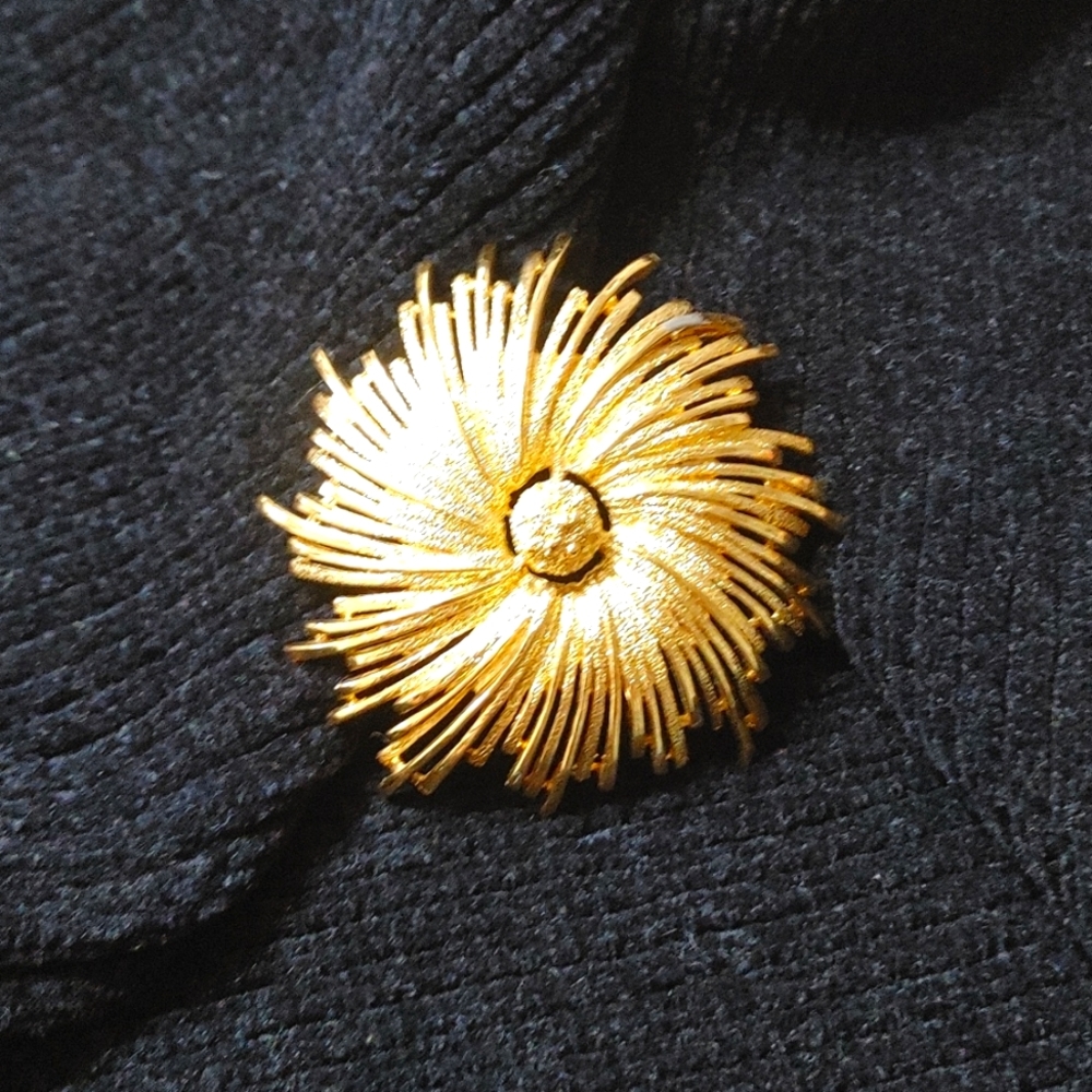 Monet Brooch Jewelry Gold Tone Flower Burst